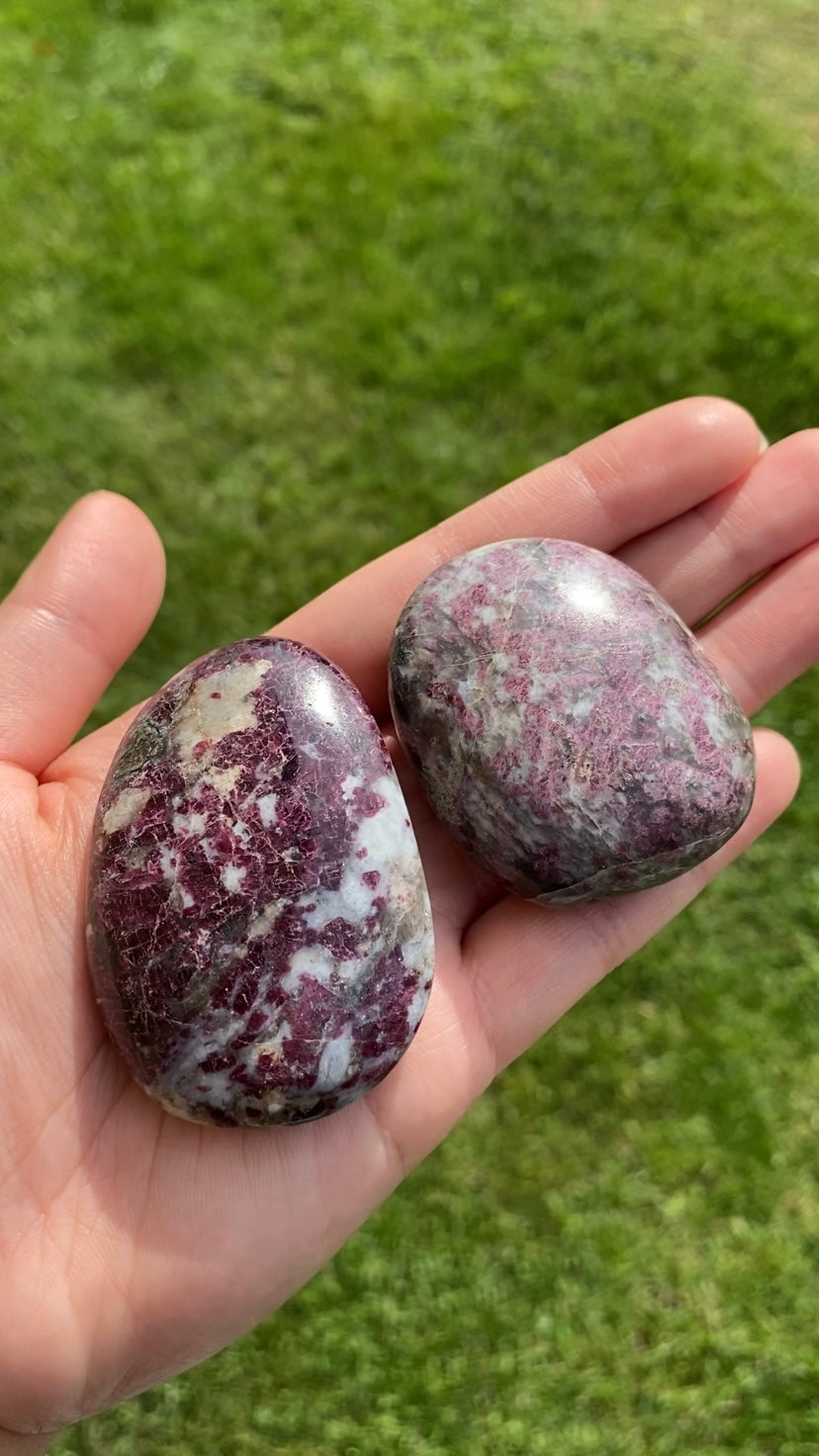 Rubellite Palm Stone