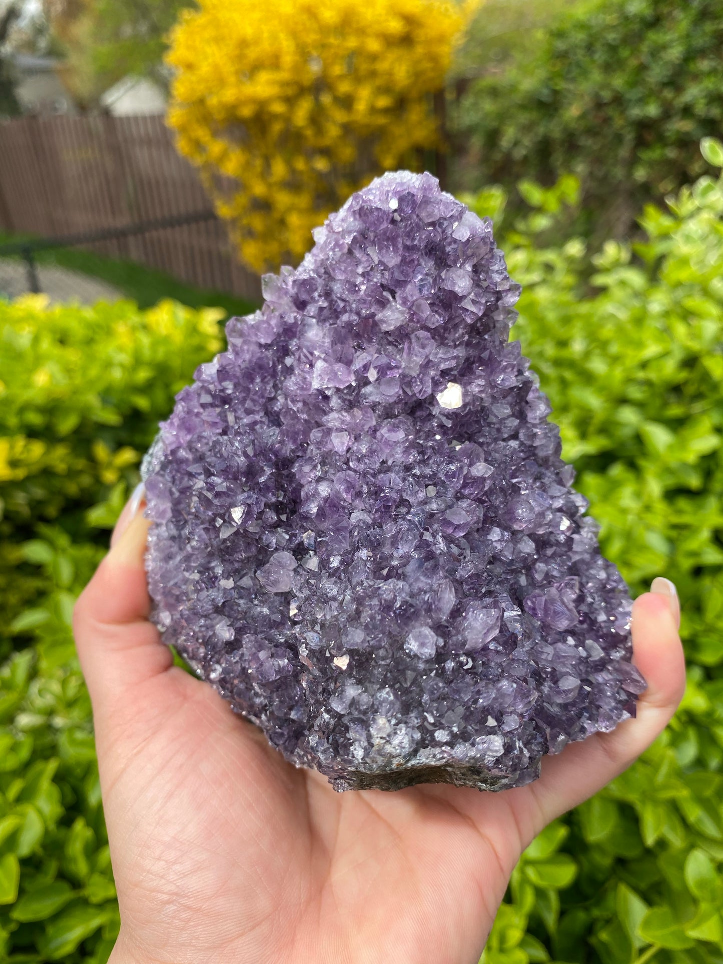 Cut Base Brazillian Amethyst