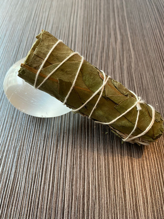 Eucalyptus and White Sage  metaphysics crystal gemstone crystal shop canadian local meditation manifestation spiritual healing holistic journey sage smudging palo santo toronto